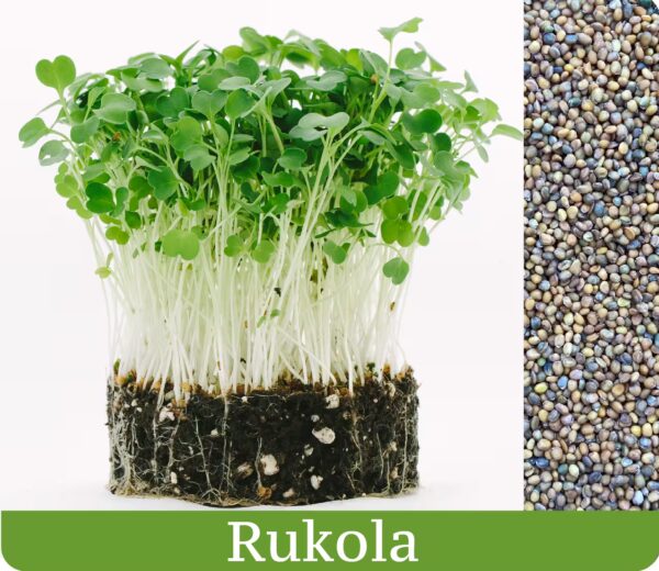 Rukola - mikrobylinky semená 50g