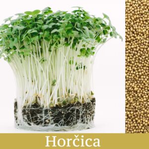 Horčica - mikrobylinky semená 50g