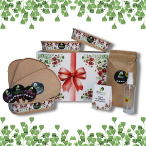 Darčeková sada na pestovanie mikrobylinky