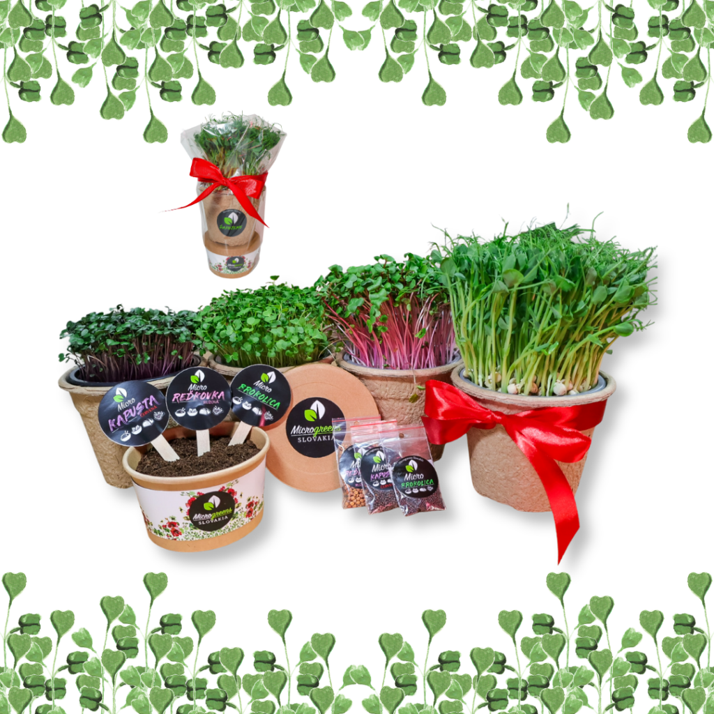 Malá darčeková sada Mikrobylinky