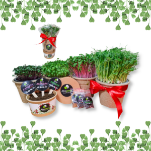 Malá darčeková sada Mikrobylinky